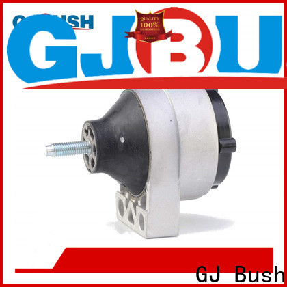 GJ Bush car engine mount factory for automotive industry