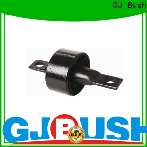 GJ Bush torque rod bush for car industry