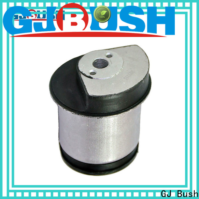 GJ Bush axle pivot bushing for car industry