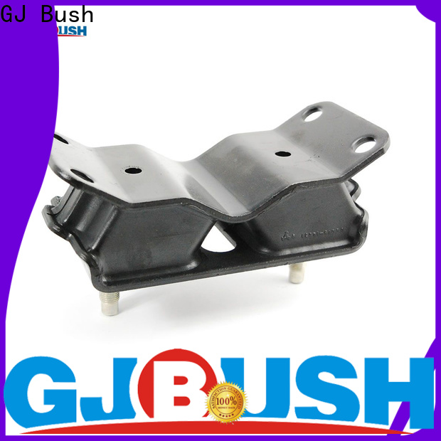 GJ Bush High-quality rubber mountings anti vibration supply for car industry