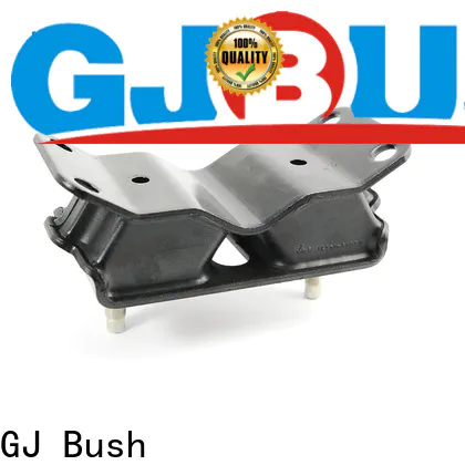 GJ Bush Custom made rubber mountings anti vibration factory price for car industry