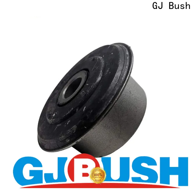 GJ Bush leaf spring eye bushing for automobile factory price for car industry
