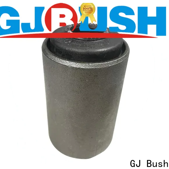 GJ Bush Custom leaf spring bushings for sale for car industry