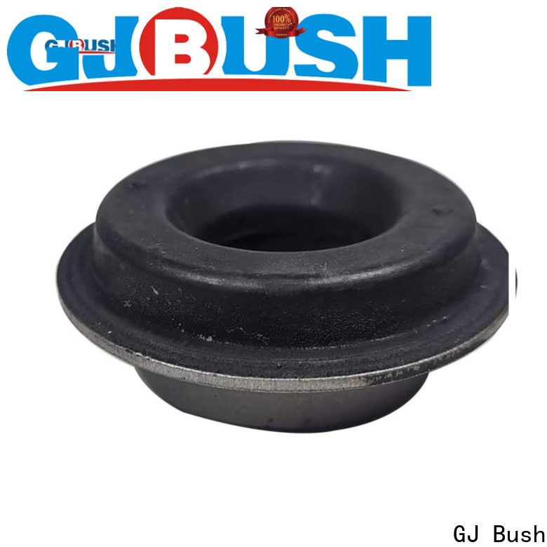 GJ Bush rubber bushing with metal insert cost for car factory