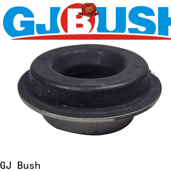 GJ Bush New spring eye bushing price for car industry