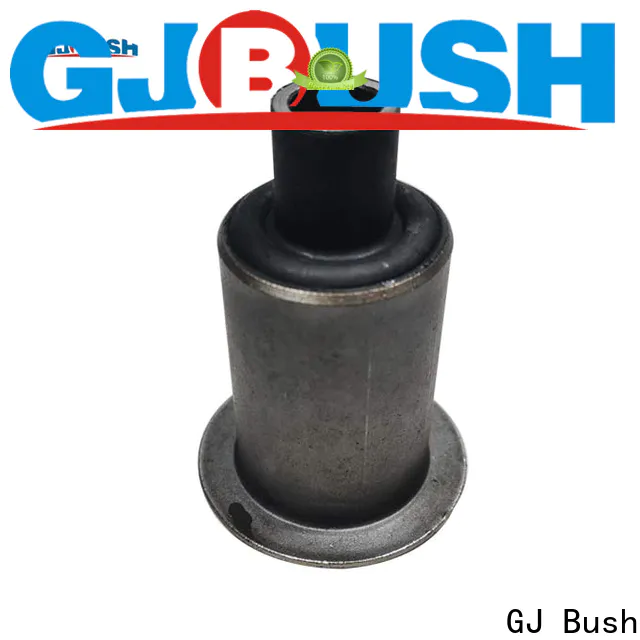 GJ Bush rear spring bushings for car industry