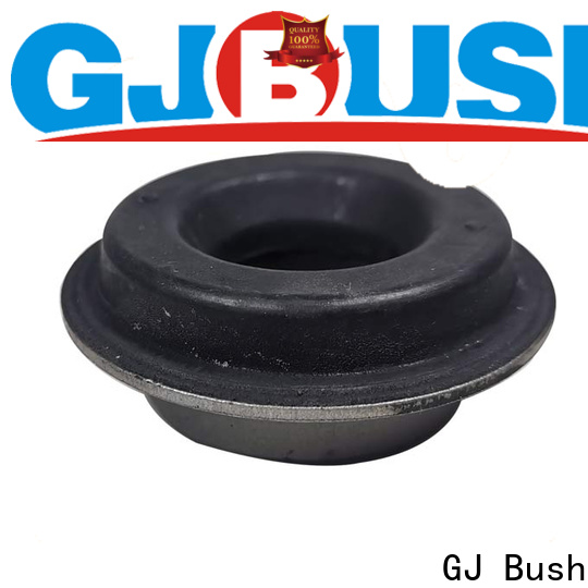 GJ Bush Custom made leaf spring bush for sale for car industry