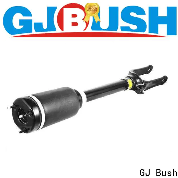 GJ Bush High-quality small shock absorber vendor for car