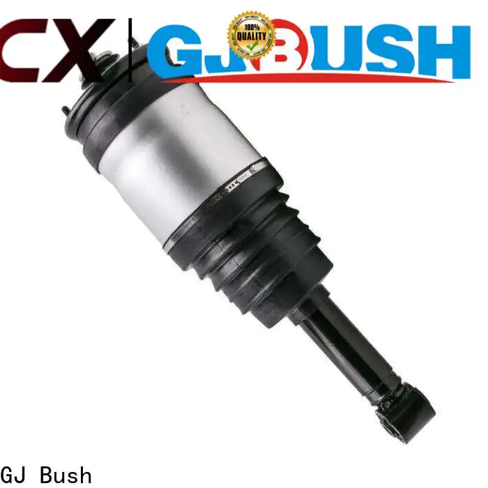 GJ Bush vehicle shock absorber company for manufacturing plant