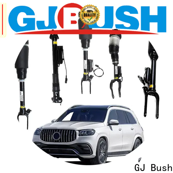 GJ Bush car shock absorber price factory price for car