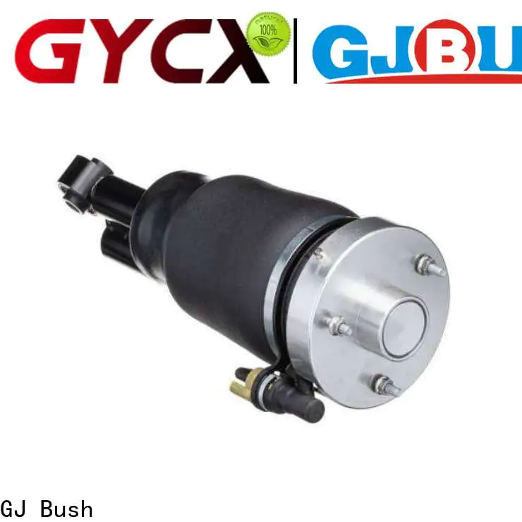 GJ Bush gas shock absorber vendor for car industry