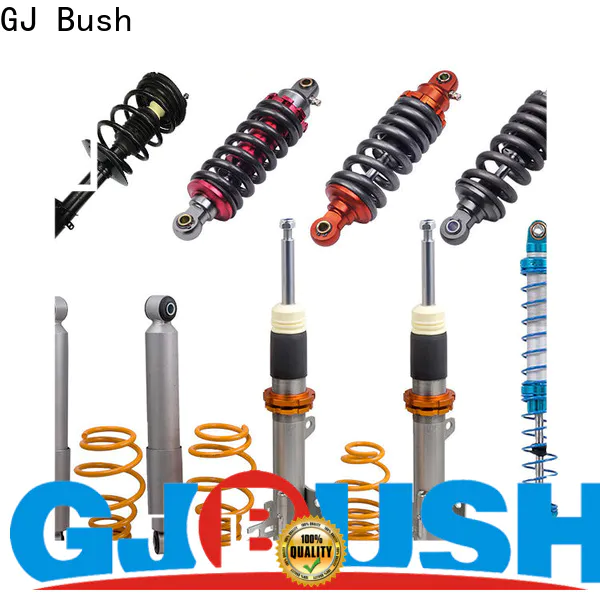 GJ Bush Custom vehicle shock absorber factory price for car industry